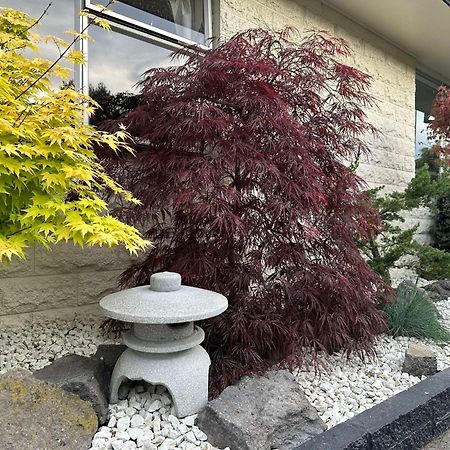 The Airport Homestay House Christchurch Bagian luar foto
