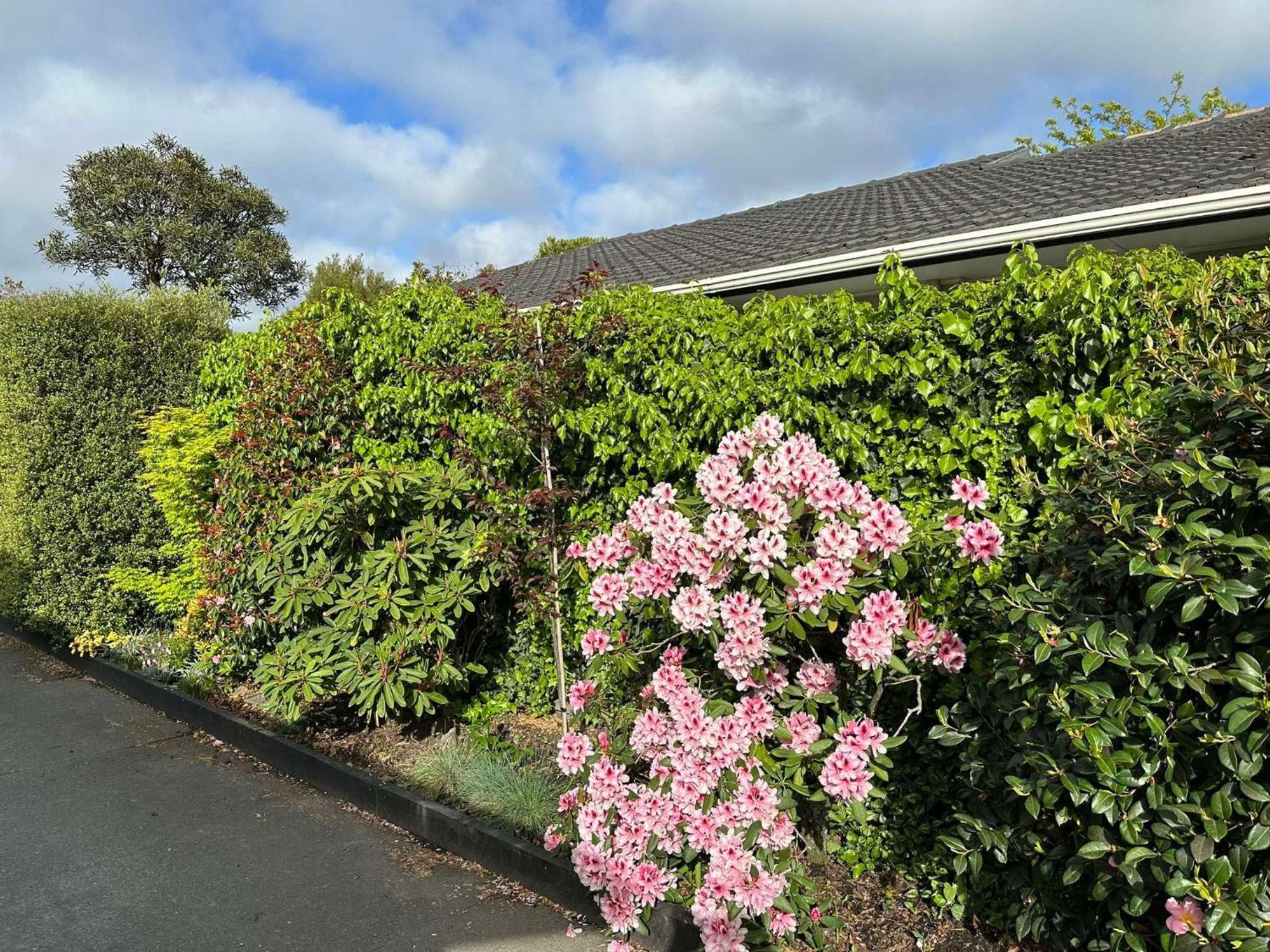 The Airport Homestay House Christchurch Bagian luar foto